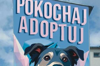 Pokochaj - adoptuj! Poruszający mural już wkrótce ozdobi ścianę w centrum Szczecinka [AUDIO]