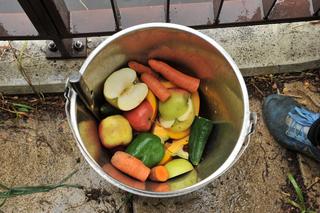 Wielkie święto w warszawskim ZOO. Hipopotamica Pelagia świętowała 37. urodziny