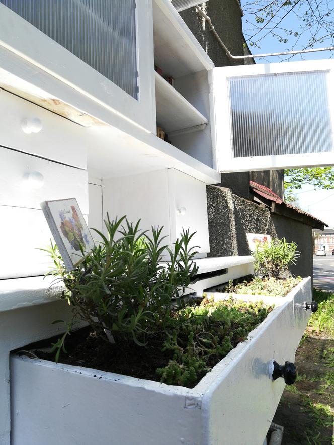 Ruda Śląska: Dają książką drugie życie! W Kochłowicach powstała Książkodzielnia