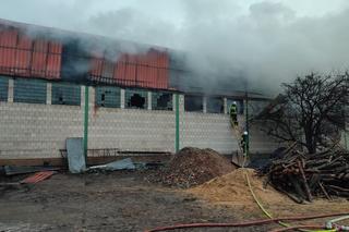 Czerwone. Tragiczny pożar tartaku. Jedna osoba nie żyje [2.02.2023]