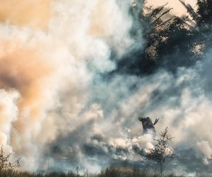 Cypr walczy z pożarami lasów. Są ofiary śmiertelne, na pomoc ruszyły zagraniczne służby