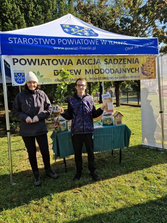  Akcji Sadzenia Drzew Miododajnych w powiecie iławskim zakończona sukcesem