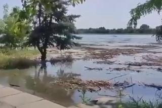 Nowa Kachowka, powódź