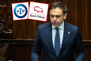 Zwrot akcji ws. fuzji PZU i Pekao. Rząd wraca do prac nad ustawą