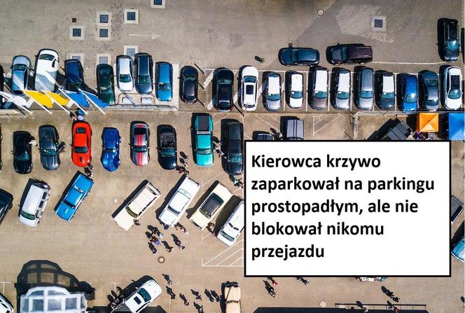 Część zgłoszeń znaleźliśmy w aplikacji "Dbamy o Bydgoszcz", a część otrzymaliśmy od ratowników medycznych