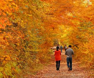 W te miejsca dotrzesz z Rzeszowa w mniej niż godzinę. 5 propozycji na jesienny weekend