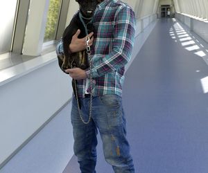 Te psy skradły serca gwiazd! 