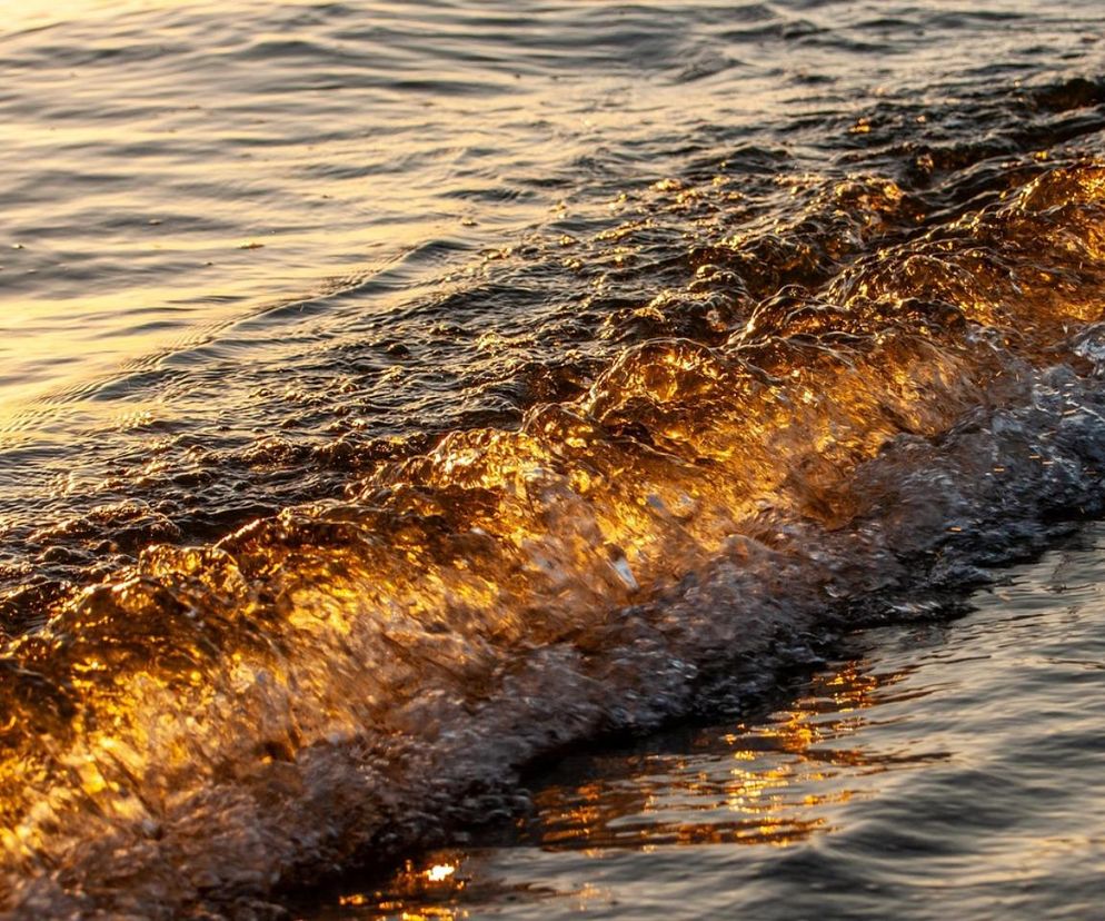 Morze / woda / plaża