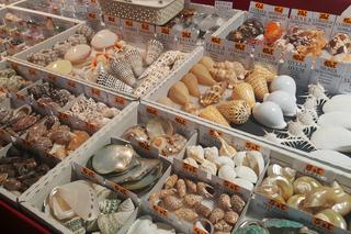 Giełda Minerałów w Sosnowcu