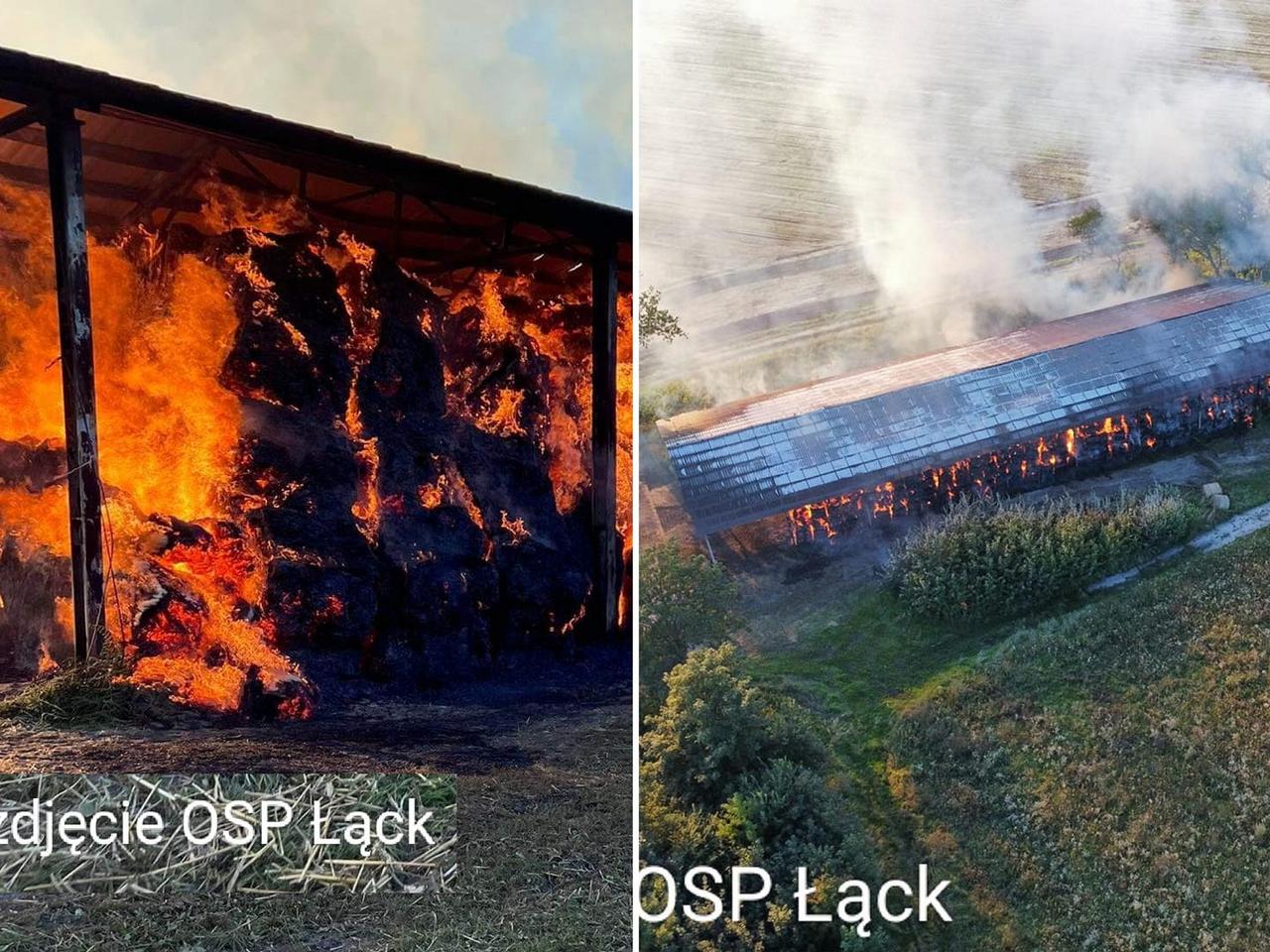 Ogromny pożar w stadninie koni w Łącku! Policja zatrzymała... 12-latka [ZDJĘCIA]