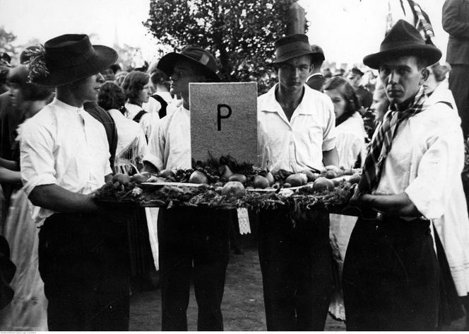 Dożynki śląskie w Katowicach. Tak obchodziło się dożynki blisko 100 lat temu. Unikalne zdjęcia 