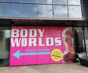 Wystawa BODY WORLDS