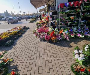 Korki i pełne parkingi. Tak wygląda sobota przed cmentarzem na Junikowie