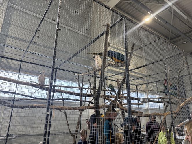 ZooPark w Lublinie. Dzień drugi