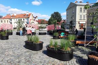 Kolejne miejsce parkingowe zabrane. Plac Farny stał się parkletem