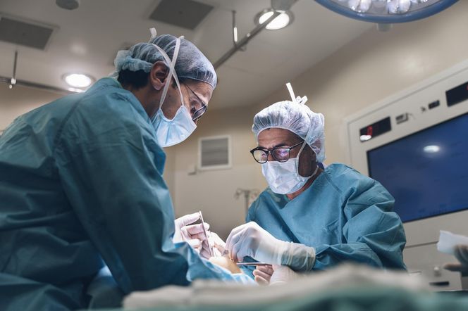 Wielki przełom w transplantologii. Przeszczep tego organu może stać się realną opcją