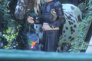 Krzysztof Ziemiec schował się z koniem