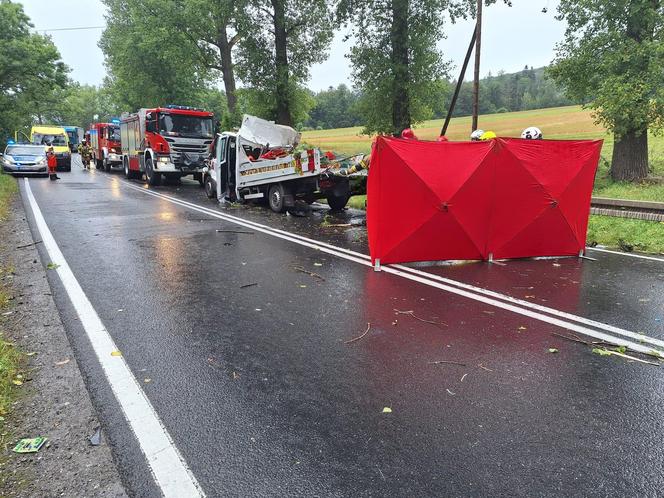 Dolny Śląsk. Drzewo spadło na busa. 56-latek nie żyje, cztery osoby są ranne 