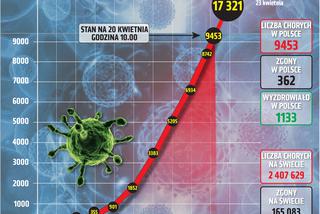Koronawirus 20.04.2020 r, godz. 10. Zobacz aktualne wykresy i dane