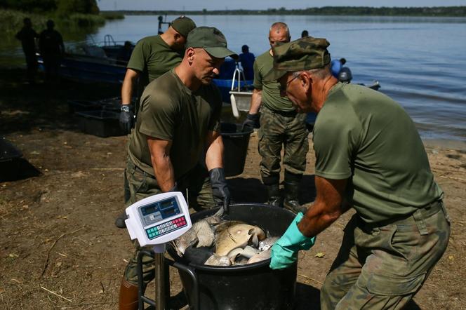 Przez weekend odłowiono blisko 3 tony śniętych ryb