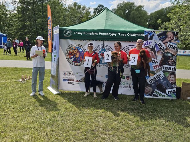 Festiwal Przyjaciół Zwierząt w Olsztynie. Park Centralny opanowały radosne pieski