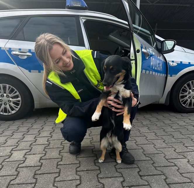 Policjanci z Raciborza uratowali pupila