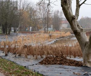 Nowa miejska plaża w Rzeszowie już powstaje