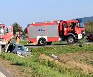 Śmiertelny wypadek na DK5. Toyota wjechała pod autobus. 27-latka nie żyje