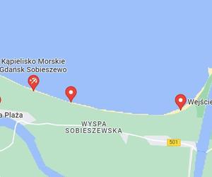 Dzika plaża na Wyspie Sobieszewskiej 