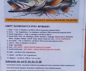 Sum gigant Rafała Kopra