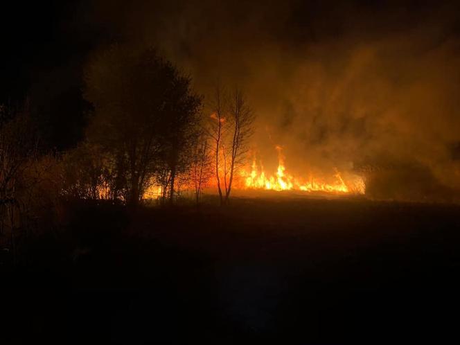INFERNO w Żabnie! Sześć jednostek straży pożarnej walczyło z płomieniami