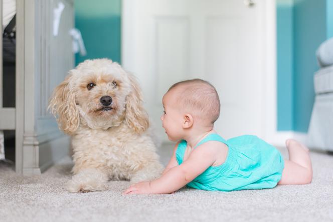 Dzieciństwo z psem może zapobiegać poważnej chorobie. Rewolucyjne badania naukowców