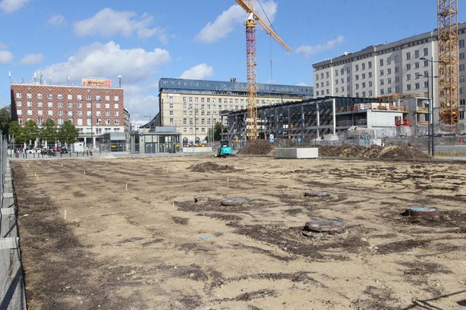 Zielona oaza na placu Powstańców Warszawy