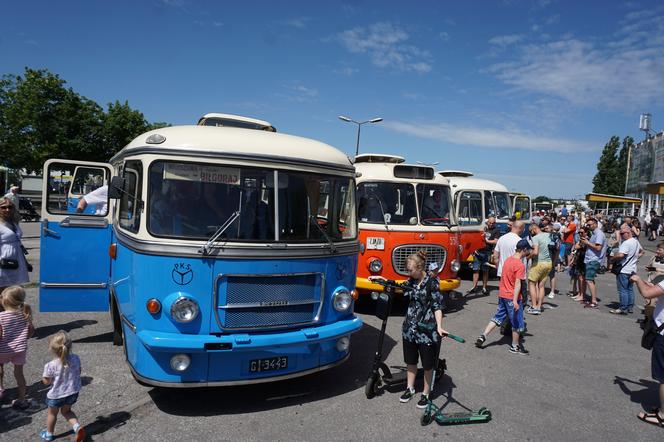 Zlot zabytkowych autobusów 2022 w Bydgoszczy [ZDJĘCIA] 