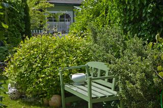 Zielona ławka: kącik wypoczynkowy w ogrodzie