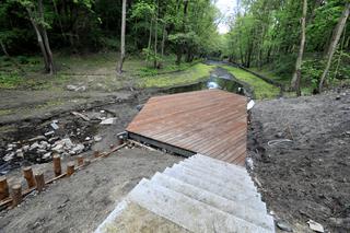 Park Tysiąclecia w Toruniu wygląda coraz piękniej! Zobacz efekty prac na lewobrzeżu