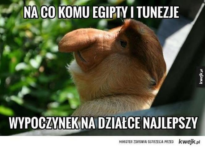 Majówka 2023 zbliża się wielkimi krokami! Zobacz najlepsze memy!