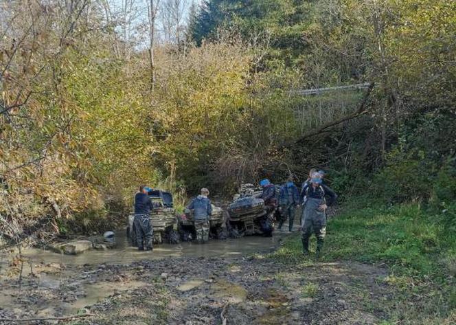 Nielegalne rajdy po podkarpackich lasach. Kolejna akcja straży leśnej 