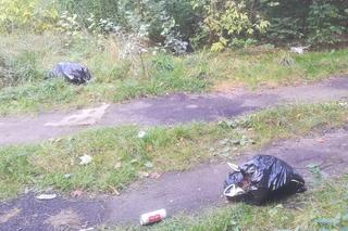 Zatrzymali swoje auta i pozbyli się śmierci! Wszystko pod okiem kamer [ZDJĘCIA]