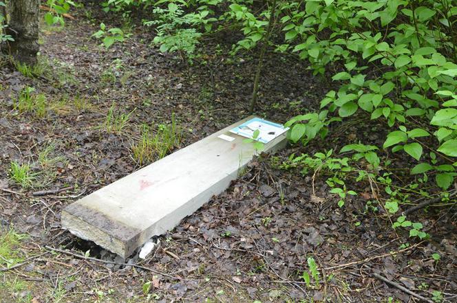 Łaziska. Tornado GŁUPOTY na ścieżkach zdrowia! Wandale wszystko zniszczyli