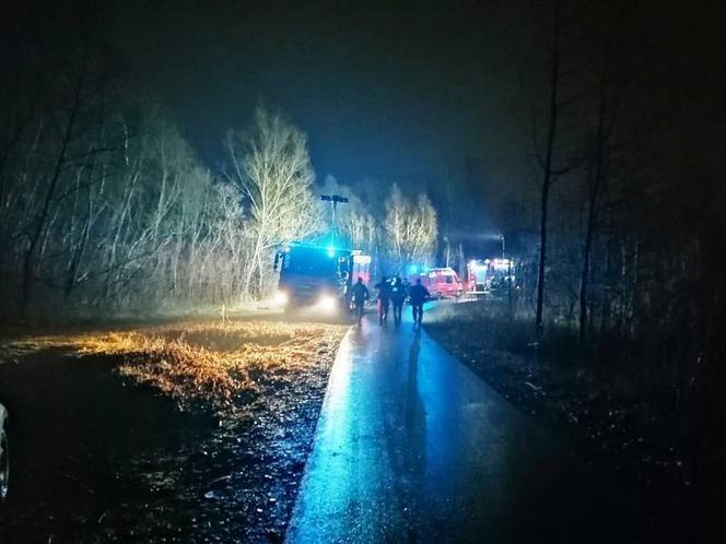 Nowy Sącz: ZAGINĘŁA młoda kobieta. Trwa przeszukiwanie okolicznych stawów 