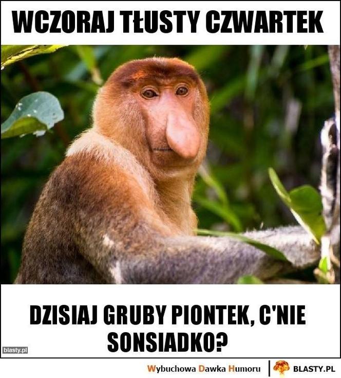 Memy na tłusty czwartek 2024