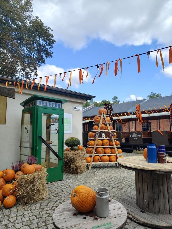 Jesienna atrakcja dla całej rodziny. Zabytkowa stacja w Rudach zaprasza na Pumpkin Express