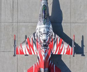 Tygrys na skrzydłach polskiego F-16. Niezwykłe malowanie myśliwca z Krzesin