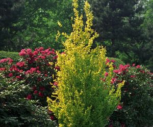 Ogród Botaniczny w Powsinie