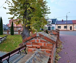 Godzinę od Warszawy leży „największy sad Europy”. To tu zabłądził sam król Kazimierz