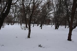 Park Ludowy 