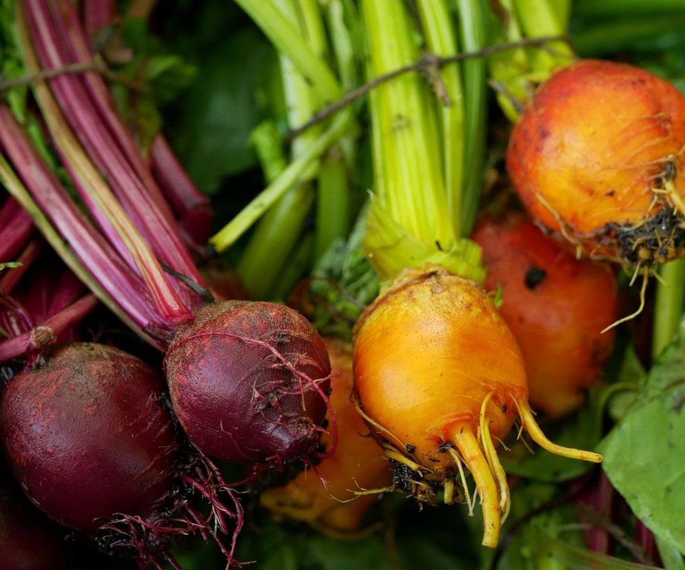 Jak ugotować buraki w rekordowym tempie? Znamy prosty trik, który w tym pomoże