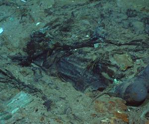 Katastrofa łodzi podwodnej Titan. Reżyser Titanica zabiera głos, mocne oskarżenia!