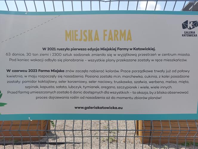 Miejska farma Galerii Katowickiej. Można się załapać na darmowe warzywa i owoce